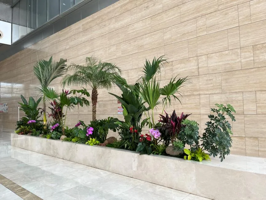 宁波慈溪绿植出租价格全知道，轻松打造绿色空间！